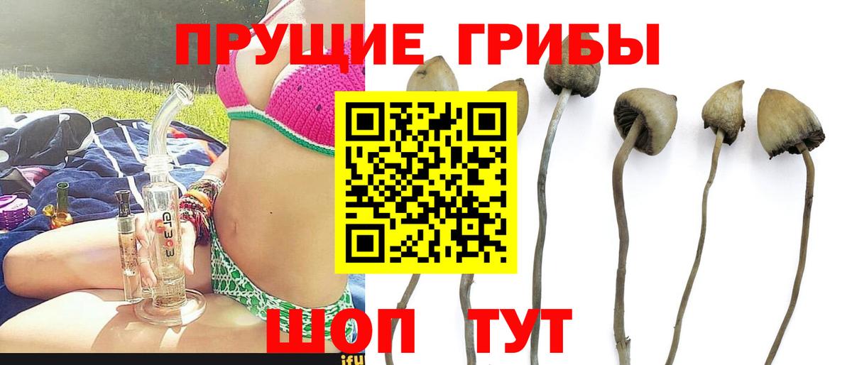 Галлюциногенные грибы прущие грибы  Вход с VPN  Надым  Псилоцибиновые грибы MAGIC MUSHROOMS 